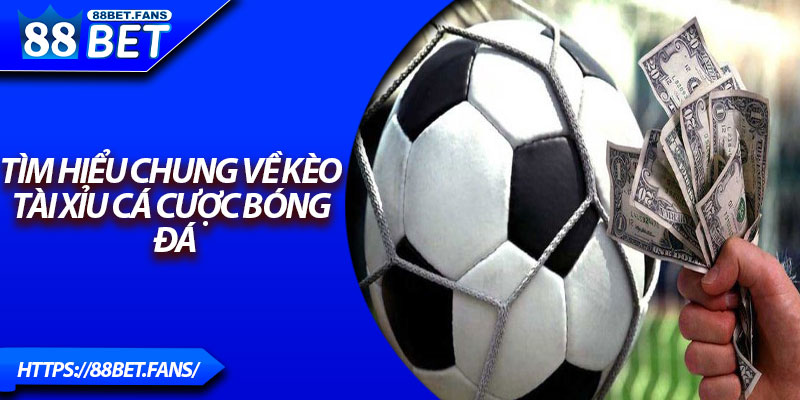Tìm hiểu chung về kèo tài xỉu cá cược bóng đá